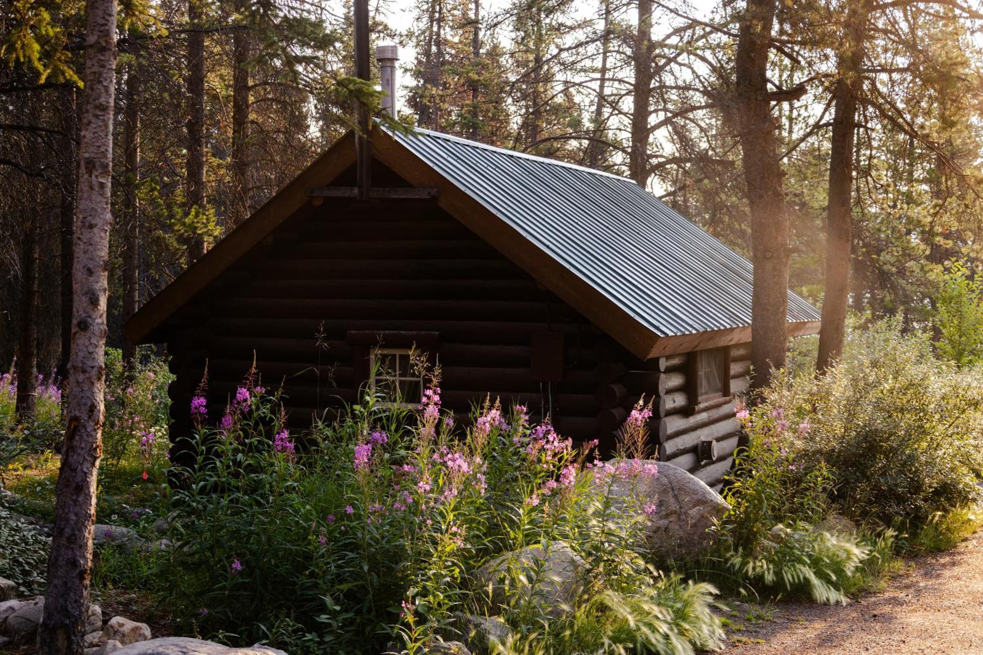 Storm Mountain Lodge & Cabins Касл-Джанкшен Экстерьер фото